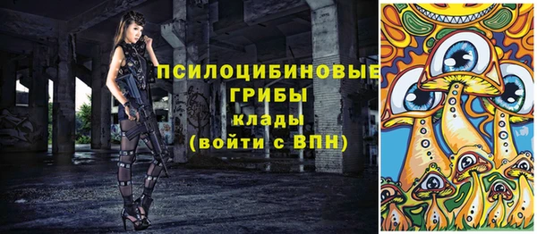 экстази Бородино