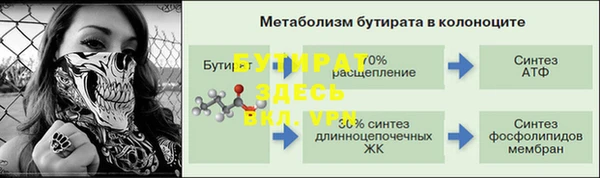 стаф Магас