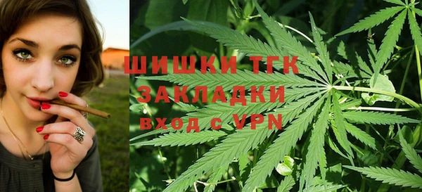 стаф Магас