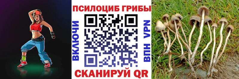 shop официальный сайт  купить  цена  Рыльск  Галлюциногенные грибы Psilocybine cubensis 