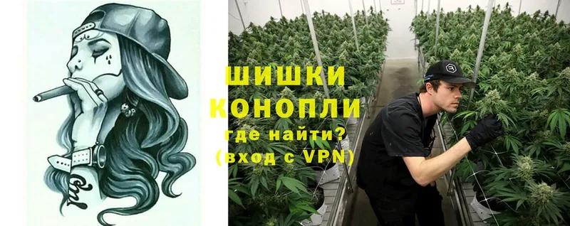 Конопля сатива где можно купить наркотик Рыльск